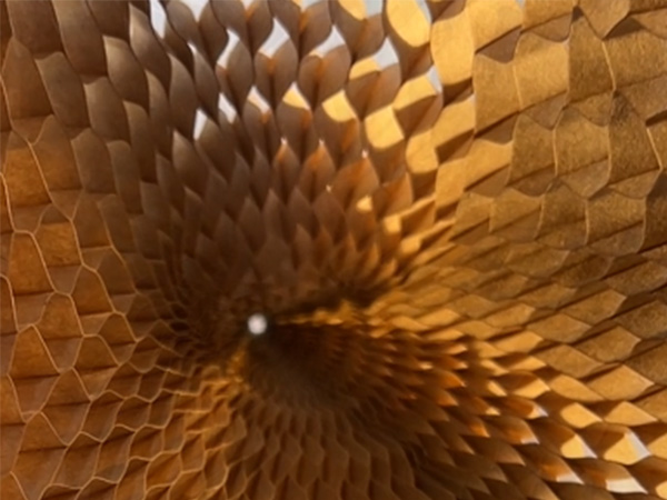 3D Honeycomb Sleeve: Solves E-commerce Pack Issues