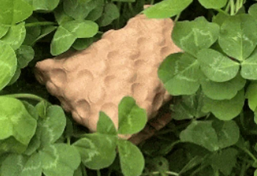 7.png