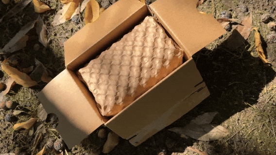  customized Paper-Bubble solutions