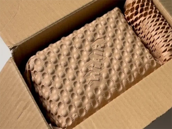 Evolution Of Cushioning: From Bubble Wrap To Paper-Bubble